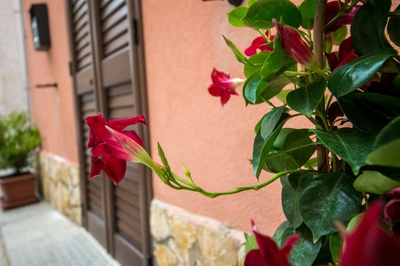'A Cumerdia - Casa Vacanze Castellammare del Golfo Bagian luar foto